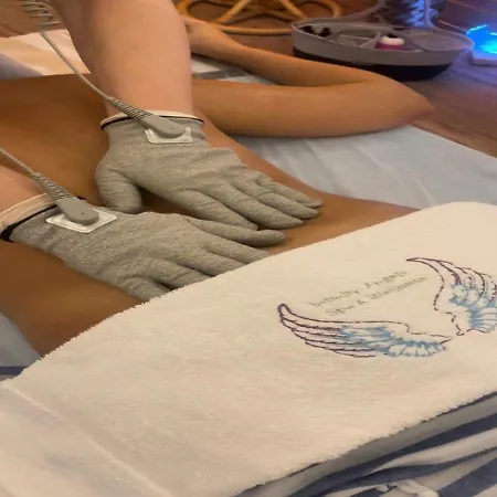 ヴィラ Luxury Seaview With 9000 M2 Access アランヤ